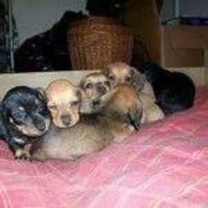 Meet your Posher, Marina